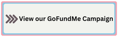 Link to DNT Go Fund Me Campaign